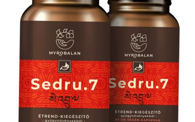 Az emésztés működése: egy csodás rendszer alapjai