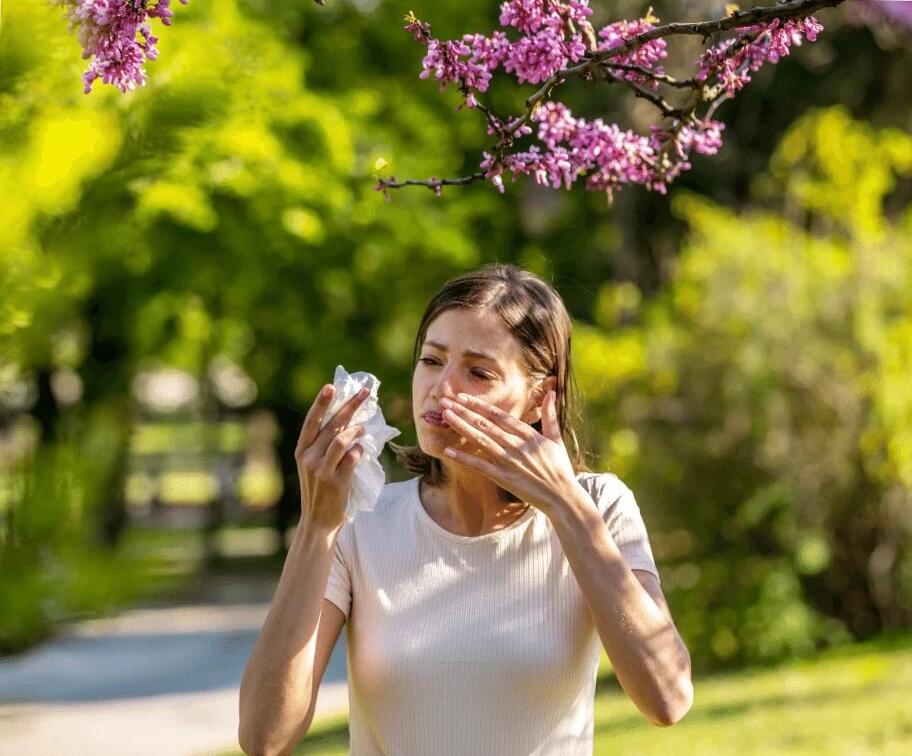 iqbmedical.hu – 2025 október – LinkMarketing – 2